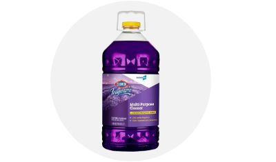 Clorox All Purpose Cleaners