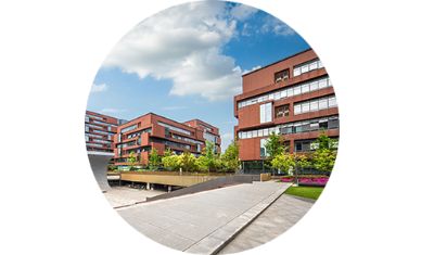 Higher Education