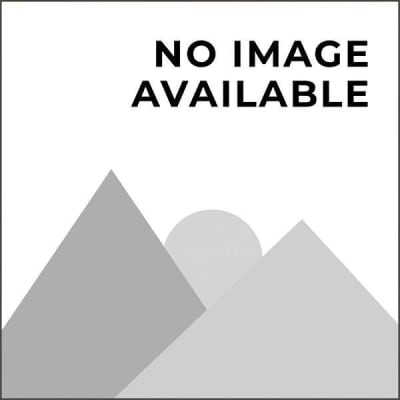 Moen Plug Button Kit Model 151644