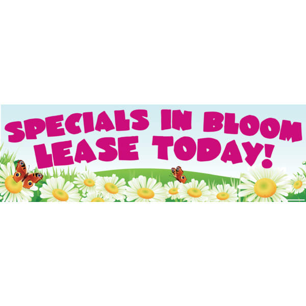 Semi Custom Banner 20 X 4 Hd Supply
