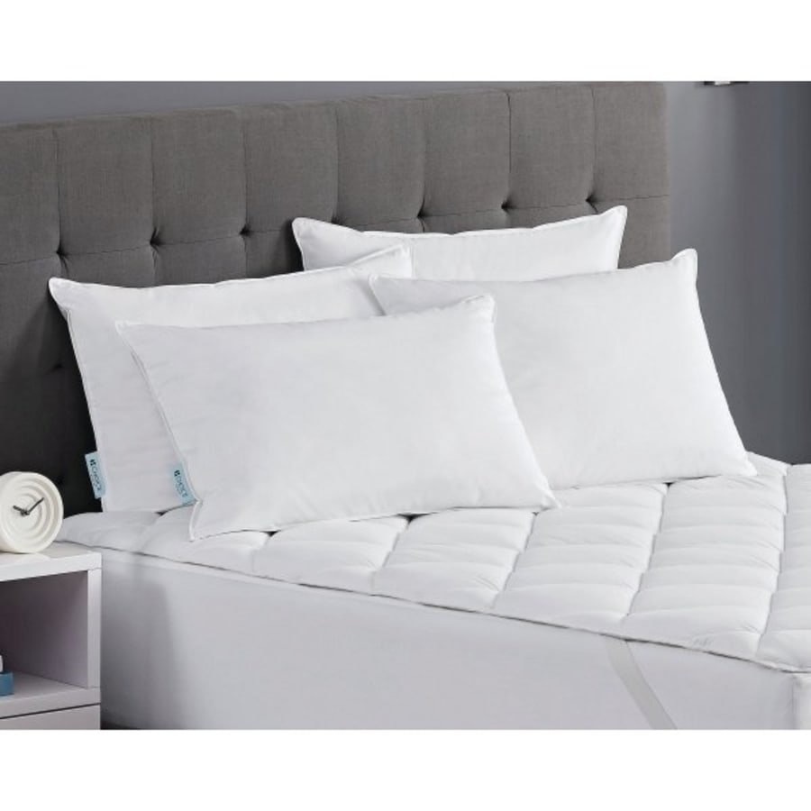 cotton bay pillows