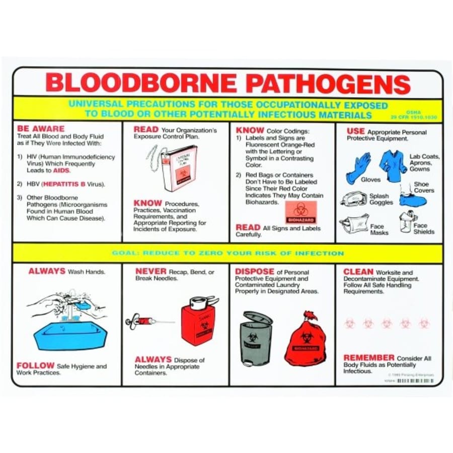 Brady Bloodborne Pathogens Poster | HD Supply