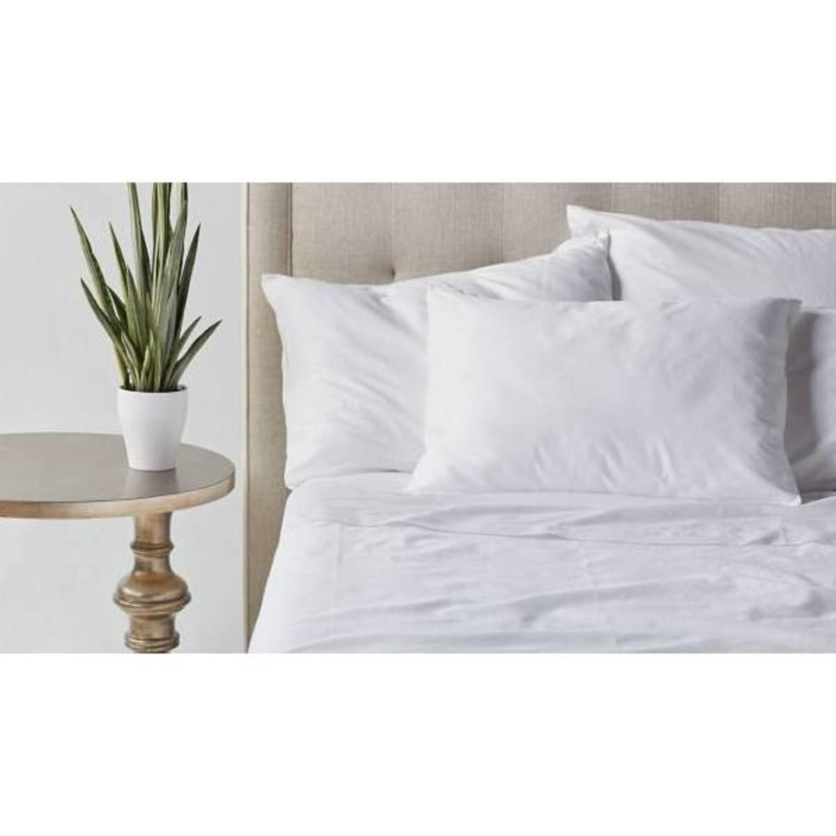Cotton bay hot sale pillows