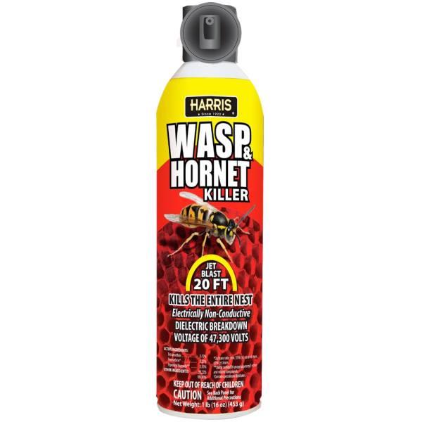 Enforcer 16 Oz Wasp And Yellow Jacket Foam HD Supply