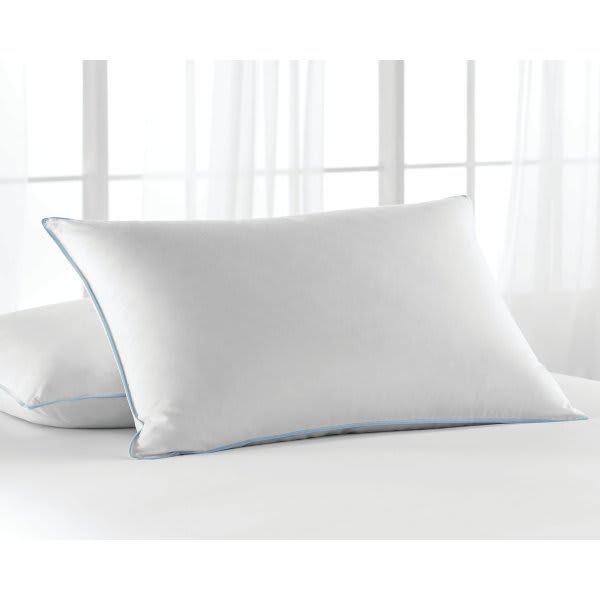 Cotton Bay® Canterfield™ Pillow Standard 20x26" 26 Ounce, Case Of 12