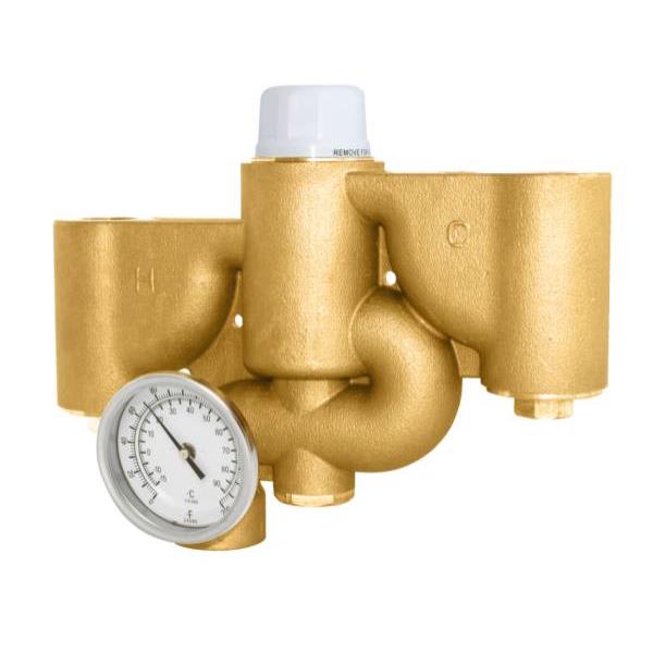 Watts® Thermostatic Mixing Valve 3/4 " 100180 Degrees HD Supply