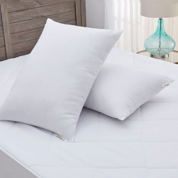 IHG Loves To Be Washed Pillow IHG HI, HIE, SBS, CWS, Queen Firm Case Of 6 HD Supply