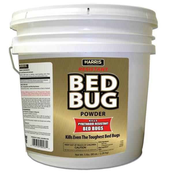 Resistant Bed Bug Powder 80 Ounces HD Supply