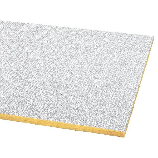 Armstrong® Ceilings Shasta® 2’ X 4’ Square Unperforated Ceiling Tile (16-Case)