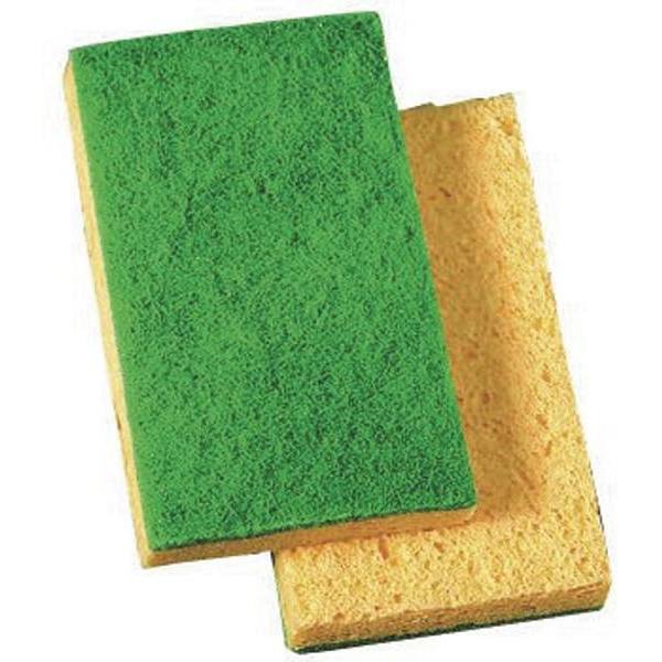 Renown Medium Scrub Spong, Case Of 20