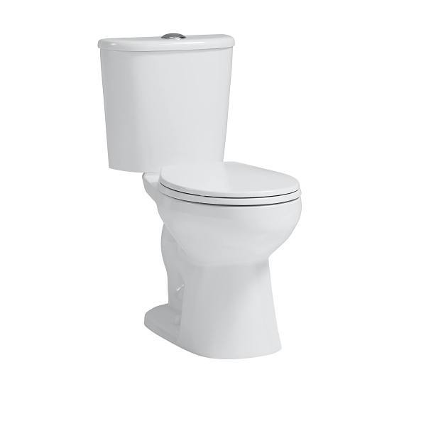 Seasons 2-Piece All-In-One 1.28 GPF Double Flush Elongated 17 In. Toilet, XL Footprint, White, ADA