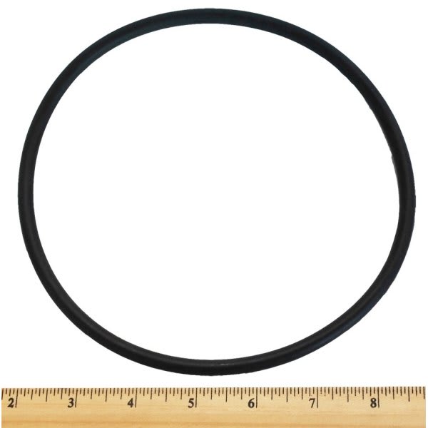 Pentair PacFab Challenger O-Ring Front Housing - Pool - Foto 11