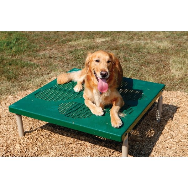 Barkpark® Dog Park Paws Table (Green/Beige)