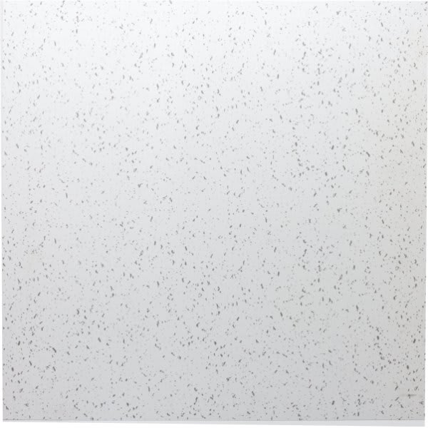 Parkland Performance 2 X 2' Fine Fissured Ceiling Tile, Package Of 12