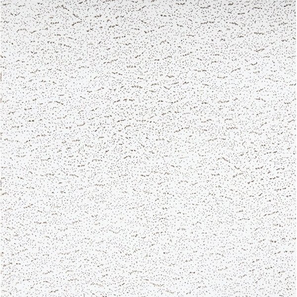 Armstrong® Ceilings Fissured 2' X 2' Square Ceiling Tile (16-Case)