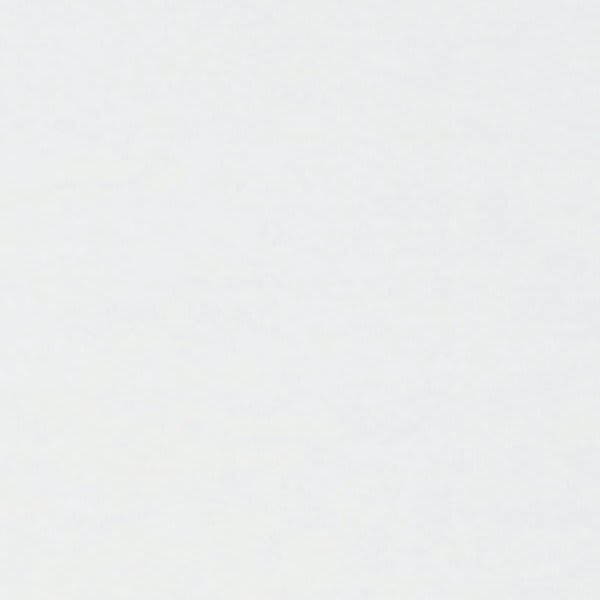 Parkland Performance 2 X 4' Finale Ceiling Tile, Package Of 10