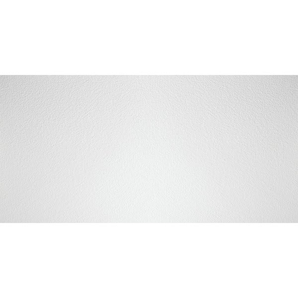 Genesis 2ft X 4ft Stucco Pro White Lay In Ceiling Tile, Carton Of 10