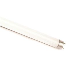 Fluorescent Bulbs