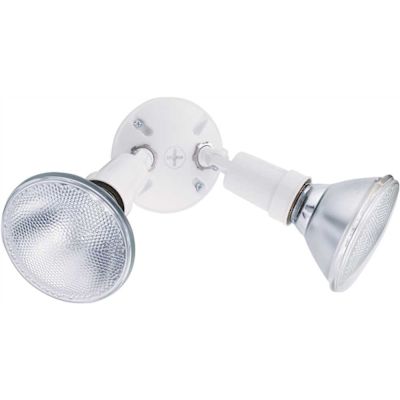 Lithonia Lighting 2-Lamp Outdoor White Flood Light