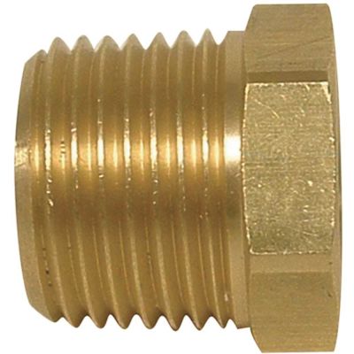 Sioux Chief 1/2 in. x 3/8 in. Brass MIP x FIP Hex Bushing