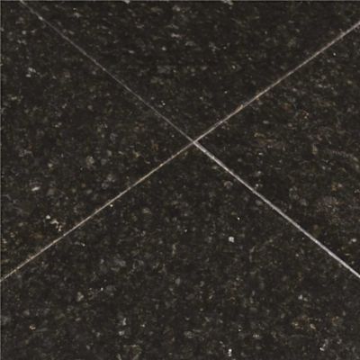 MSI Verde Ubatuba 12 in. x 12 in. Polished Granite Floor and Wall Tile (10 sq. ft./Case)