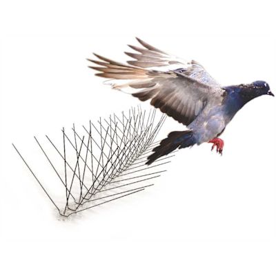 Bird-X 50 ft. Stainless Steel Bird Spikes Pigeons Starling Blackbirds Seagulls 6 in. Coverage
