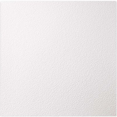 GENESIS 23.75in. X 23.75in. Stucco Pro Vinyl Lay In White Ceiling Tile (Case of 12)