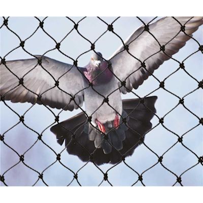 Bird-X 50 ft. x 100 ft. Heavy-Duty Bird Netting