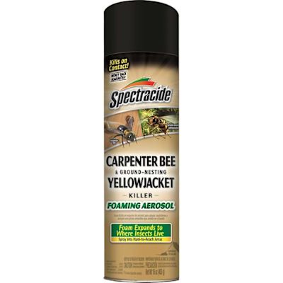 Spectracide 16 oz. Aerosol Carpenter Bee and Ground-Nesting Yellow jacket Killer Foam