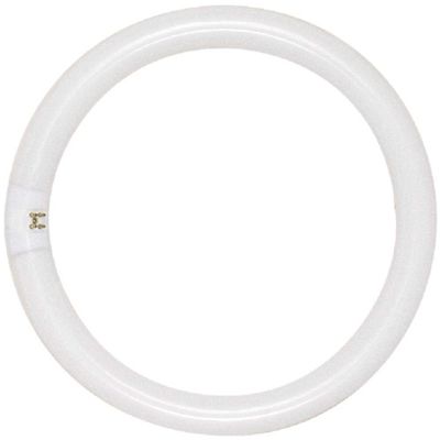 Satco 32-Watt 12 in. Circline T9 G10q Base Fluorescent Tube Light Bulb in Cool White (12-Pack)