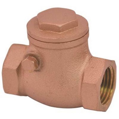 ProPlus 1/2 in. FIP Lead Free Swing Check Valve with Brass Body