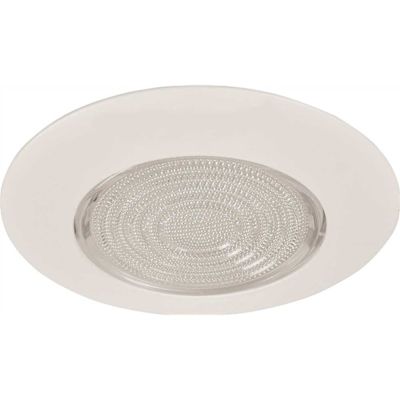 Monument RECESSED LIGHTING 6 IN. FRESNEL CLEAR GLASS WITH WHITE METAL TRIM RING