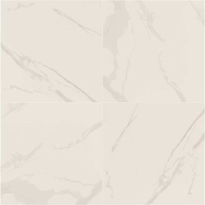 MSI Ader Tegal 24 in. x 24 in. Matte Porcelain Marble Look Floor and Wall Tile (128 sq. ft./Pallet)