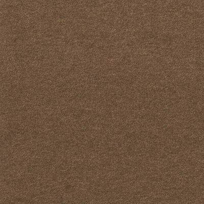 Foss First Impressions - Mocha - Brown Commercial 24 x 24 in. Peel and Stick Carpet Tile Square (60 sq. ft.)
