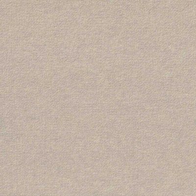 Foss First Impressions - Dove - Gray Commercial 24 x 24 in. Peel and Stick Carpet Tile Square (60 sq. ft.)