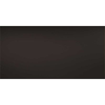 GENESIS 23.75in. x 47.75in. Smooth Pro Lay In Vinyl Black Ceiling Tile (Case of 10)