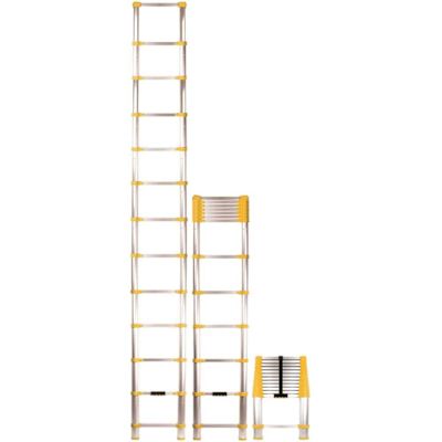 12.5 ft. Aluminum Telescoping Extension Ladder (16.5 Reach Height), 250 lbs. Load Capacity ANSI Type 1 Duty Rating
