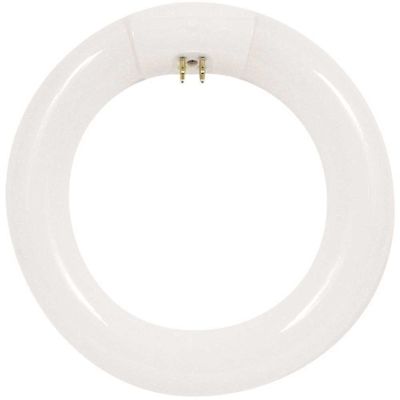 Feit Electric 8 in. 15-Watt (22-Watt Equivalent) T9 Cool White 4100K G10Q Circline LED Light Bulb