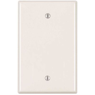 Leviton 1-Gang White Blank Plate Nylon Midway/Midsize Wall Plate (10-Pack) PJ13-WM