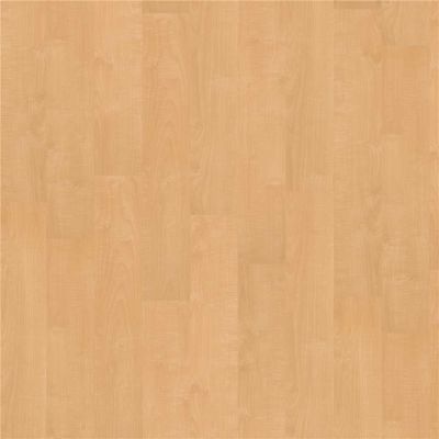 Shaw Vermont Rutland 6 in. x 36 in. Glue Down Luxury Vinyl Plank (44.56 sq. ft./case)