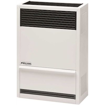 Williams 14,000 BTU Direct Vent Gravity Natural Gas Heater with High Altitude Orifices