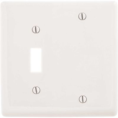 HUBBELL WIRING 2-Gang White Medium Size Toggle and Blank Wall Plate