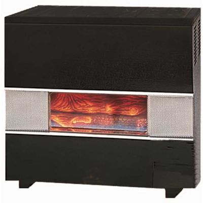 Williams 65,000 BTU Fireplace Front Natural Gas Room Heater with Blower