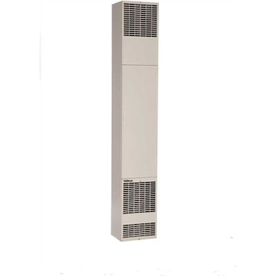 Williams 60,000 BTU/Hour Forsaire Counterflow Direct-Vent Wall Heater Liquid Propane Gas