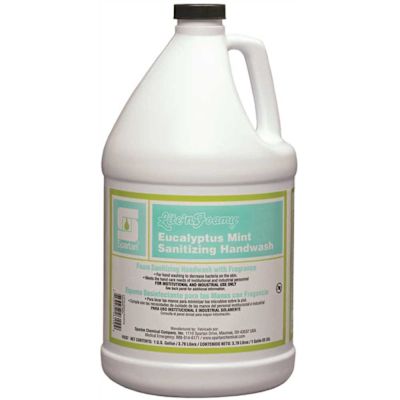 Spartan Lite'n Foamy Eucalyptus Mint 1 Gal. Sanitizing Hand Wash (4 Per Pack)