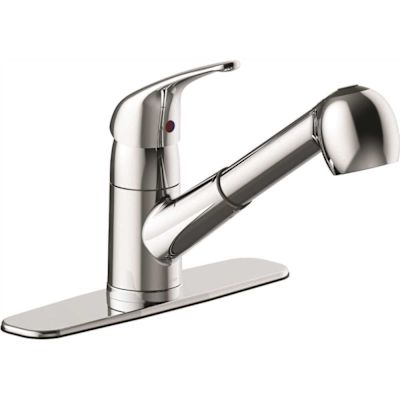 Seasons Raleigh Single-Handle Pull-Out Sprayer Kitchen Faucet in Chrome