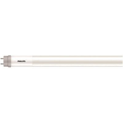 LED Bulb 4' T8 9.9w 4000k 1600l Ul Type B Package Of 25