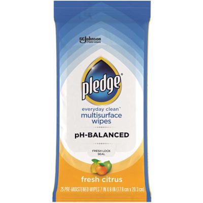 GE PledEveryday Clean Multi-Surface Wipes 25ct Case Of 12