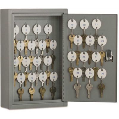 SKILCRAFT Locking Key Cabinet, 30, 8w X 2 5/8d X 12 1/4h, Gray