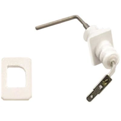 Rheem Electrode Fl1